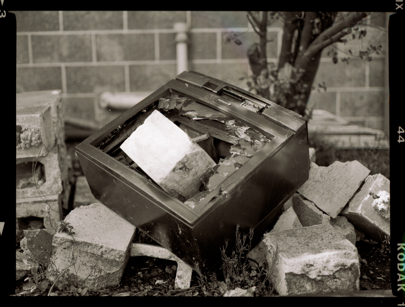 5 reasons to throw out the TV from your house