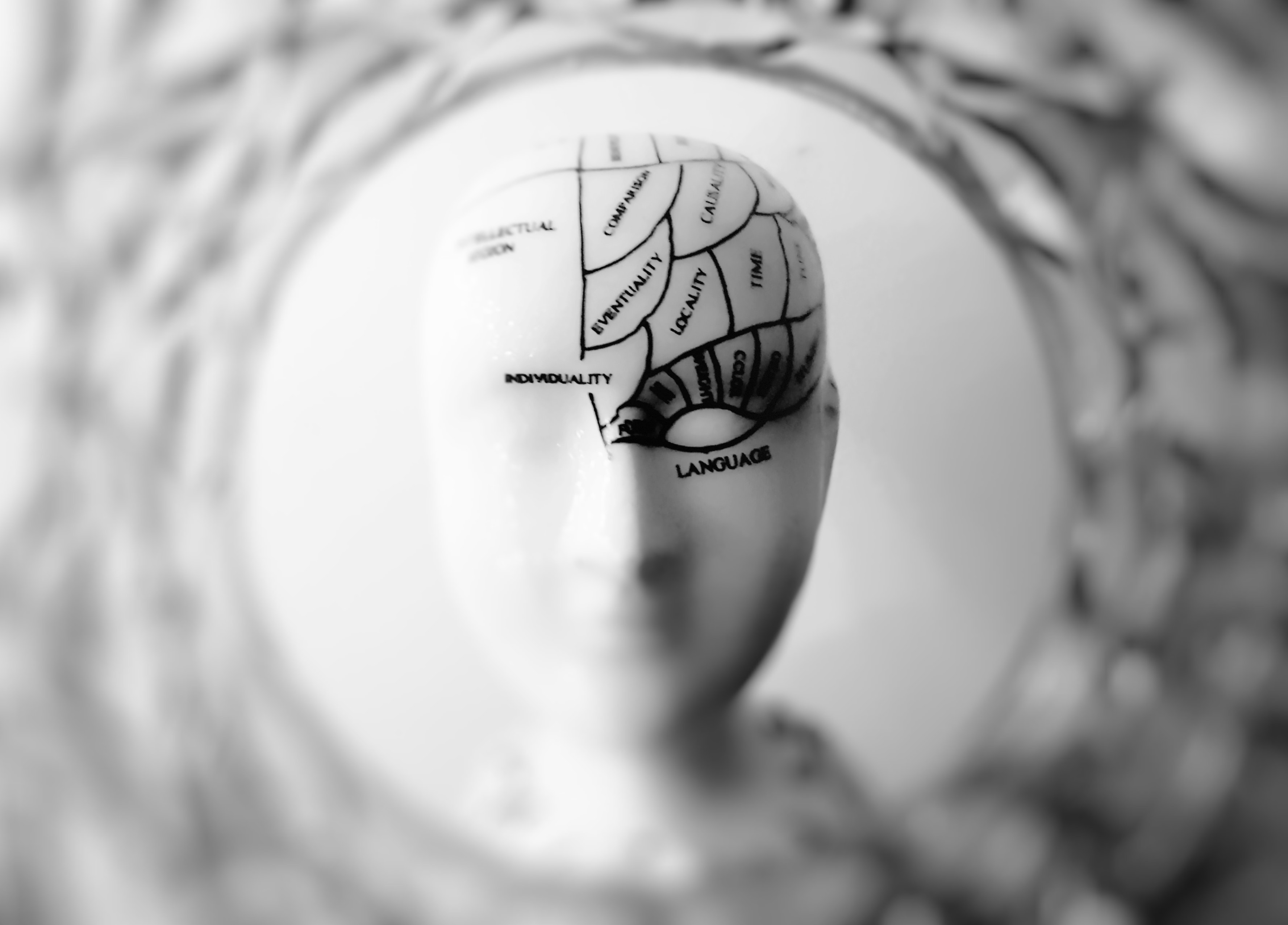 Digital anatomy of the Alpha Efficient