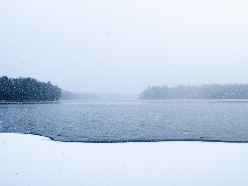 A Step-By-Step Guide to Boost Your Cold Emailing Campaigns