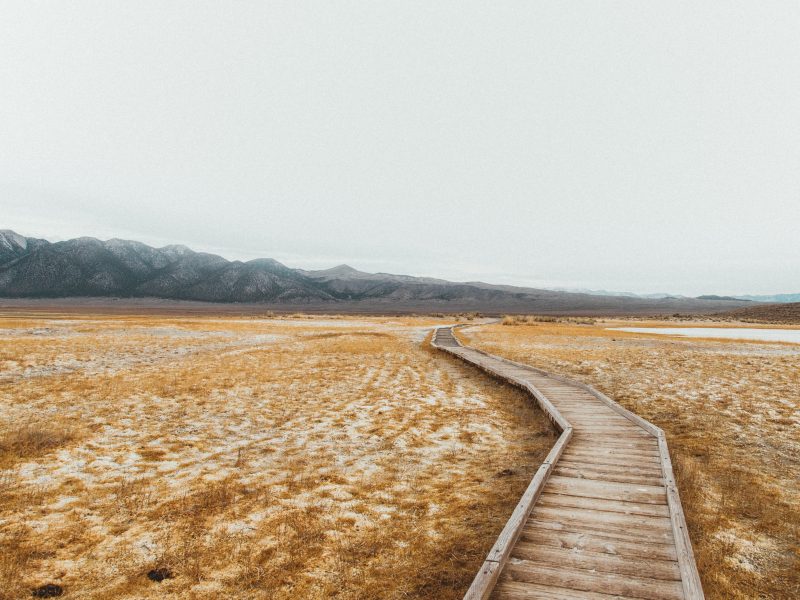 Why We Use Sage WordPress Theme For SEO