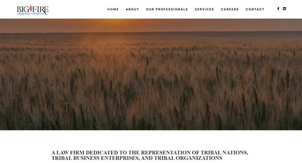 Big Fire Law & Policy Group – Bold, mission-driven, and vibrant law firm website.