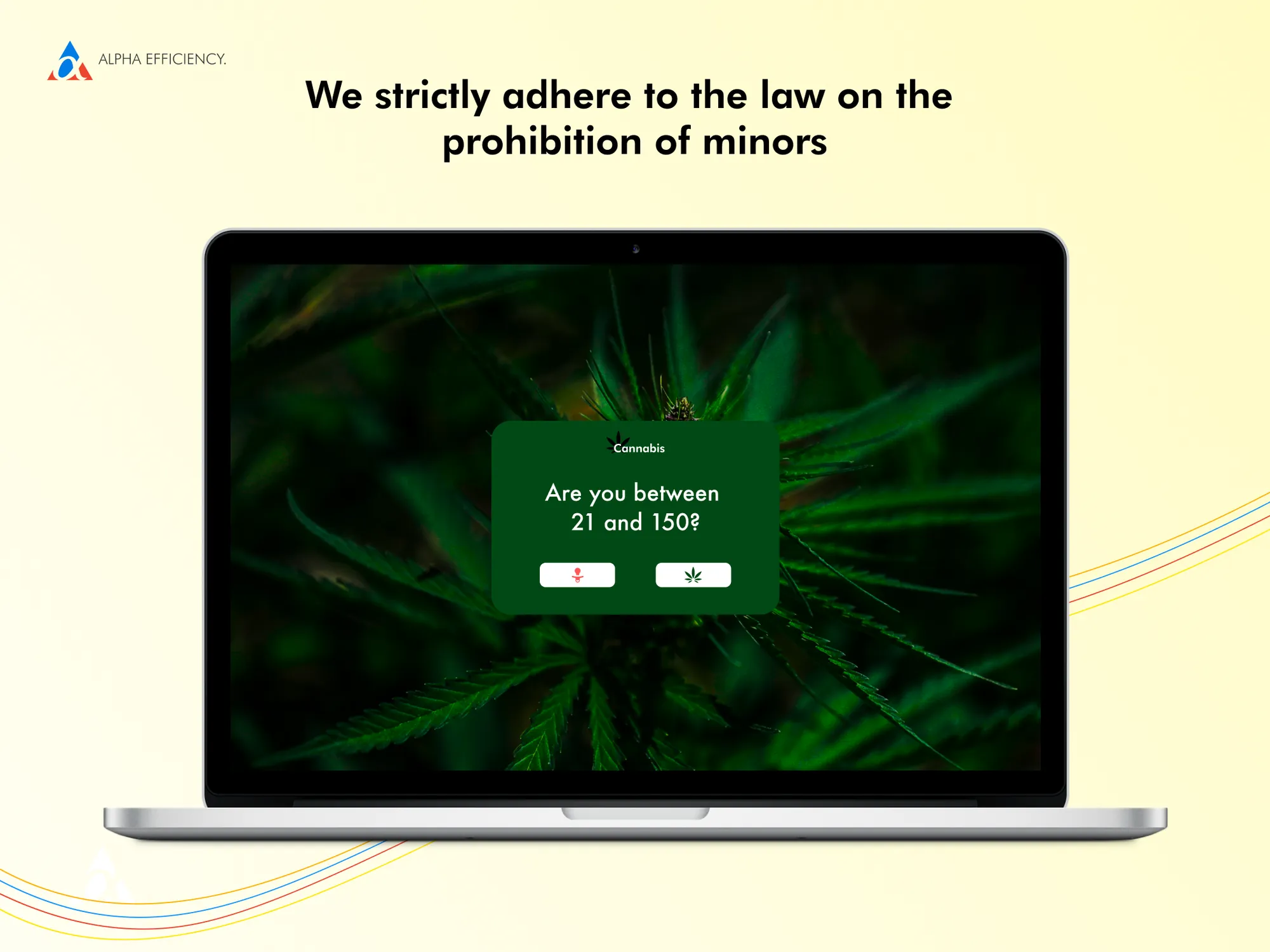 cannabis age verification