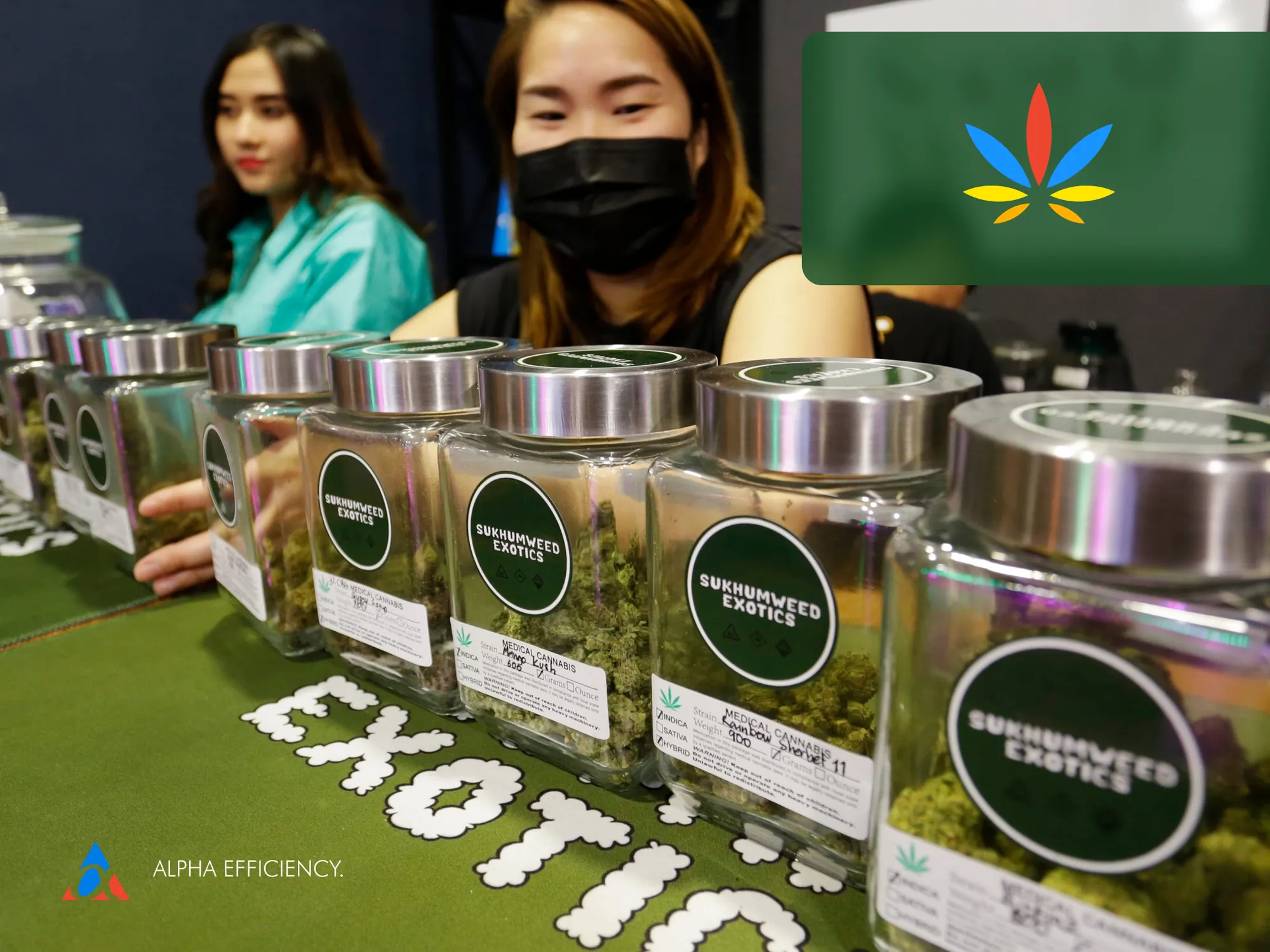 cannabis dispensary